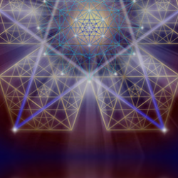 Collective Full 2025-2026