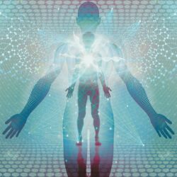 Consultation Packages