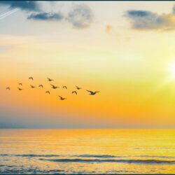 Advanced Students Only